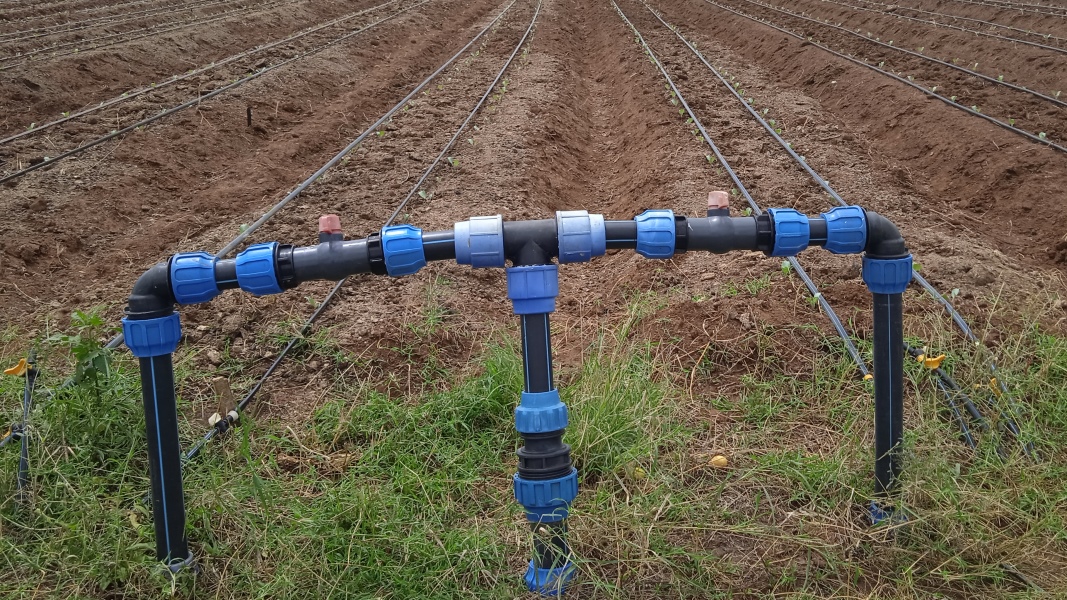 Drip Irrigation services