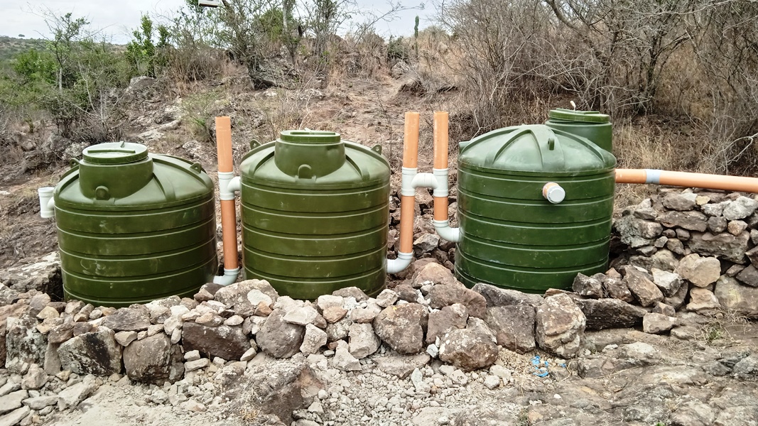 kitchen gardens