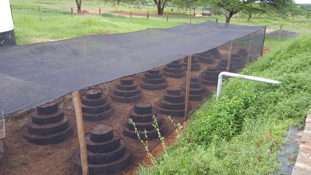 kitchen gardens