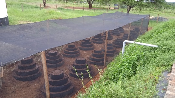 Drip Irrigation services