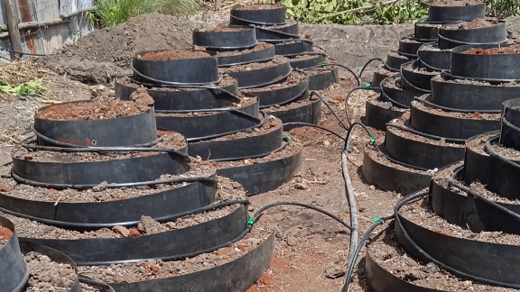 Drip Irrigation services