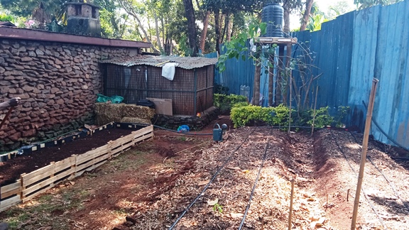 Drip Irrigation services