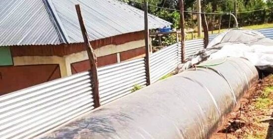 Biogas Energy