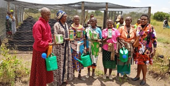 Cone Gardens Transforming Lives