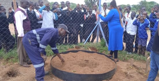 School Kitchen Gardens