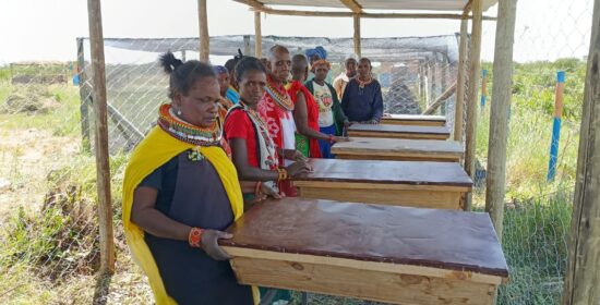 Apiculture Green Enterprise